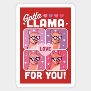 Gotta Llama Love For You Valentine's Day Llama Alpaca Funny Sticker